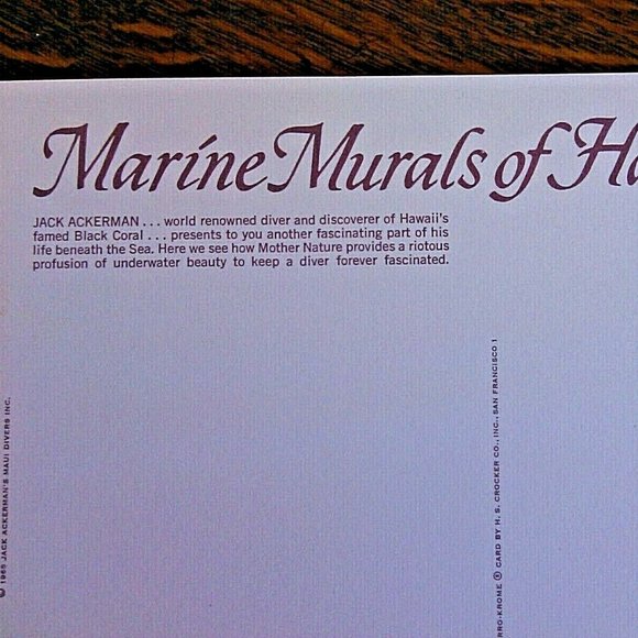 Vintage Postcard Marine Murals Hawaii Moorish Idols Fish & Black Coral Unposted - Picture 13 of 16